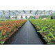 Агротекстиль Agrojutex (плотность  130г/м2 на отрез )